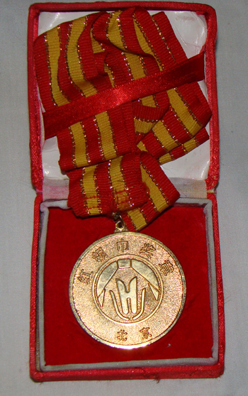 少年刘松部分获奖证书(图22)